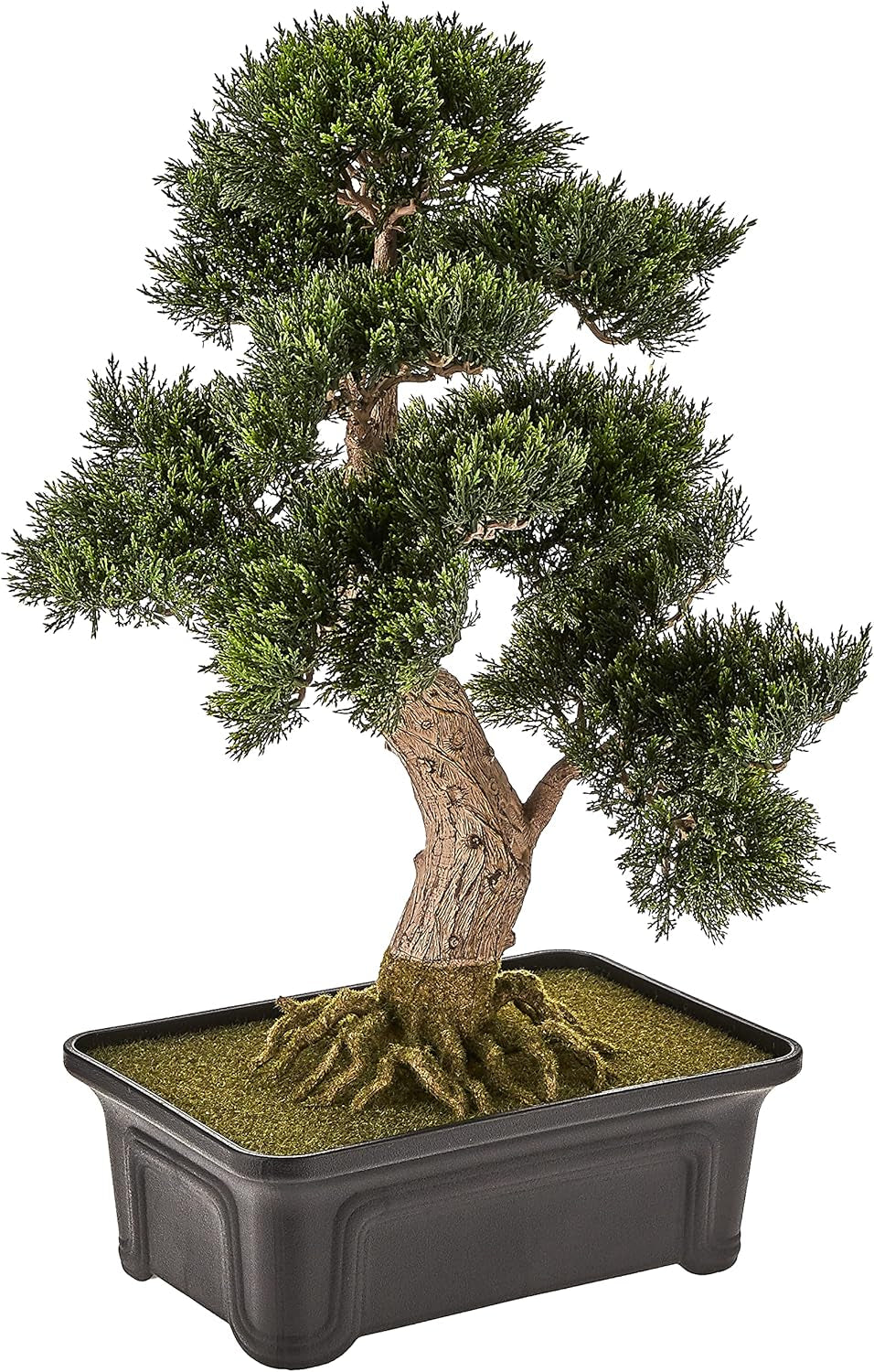 4103 61 Cm Zedern-Bonsai-Seidenpflanze, Grün