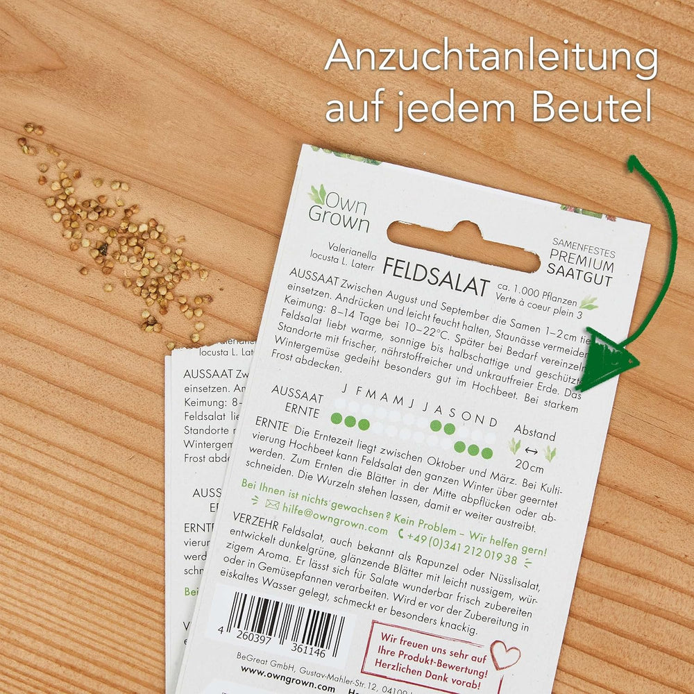 Graines de Laitue : Ensemble de 8 Variétés de Graines de Salade pour le Jardin et le Balcon - Graines de Laitue, Feuille de Moutarde, Mâche (Hardy), Radicchio, Graines d'Endive, Chicorée - Graines de Légumes à Salade de OwnGrown