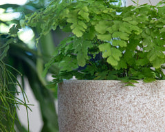 Pots de fleurs Artevasi Hestia, pots de fleurs, pots décoratifs, texture complexe, céramique faite à la main, couleur terre cuite, 17 cm