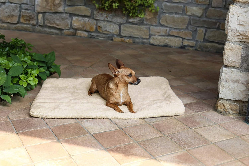 Sogni E Capricci Tapis Super Doux, Crème, 104X75CM, Polyester, Couettes et Couettes Naty Shop Crème 104X75Cm