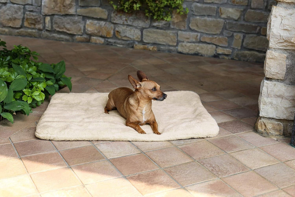 Sogni E Capricci Tapis Super Doux, Crème, 104X75CM, Polyester, Couettes et Couettes Naty Shop Crème 104X75Cm