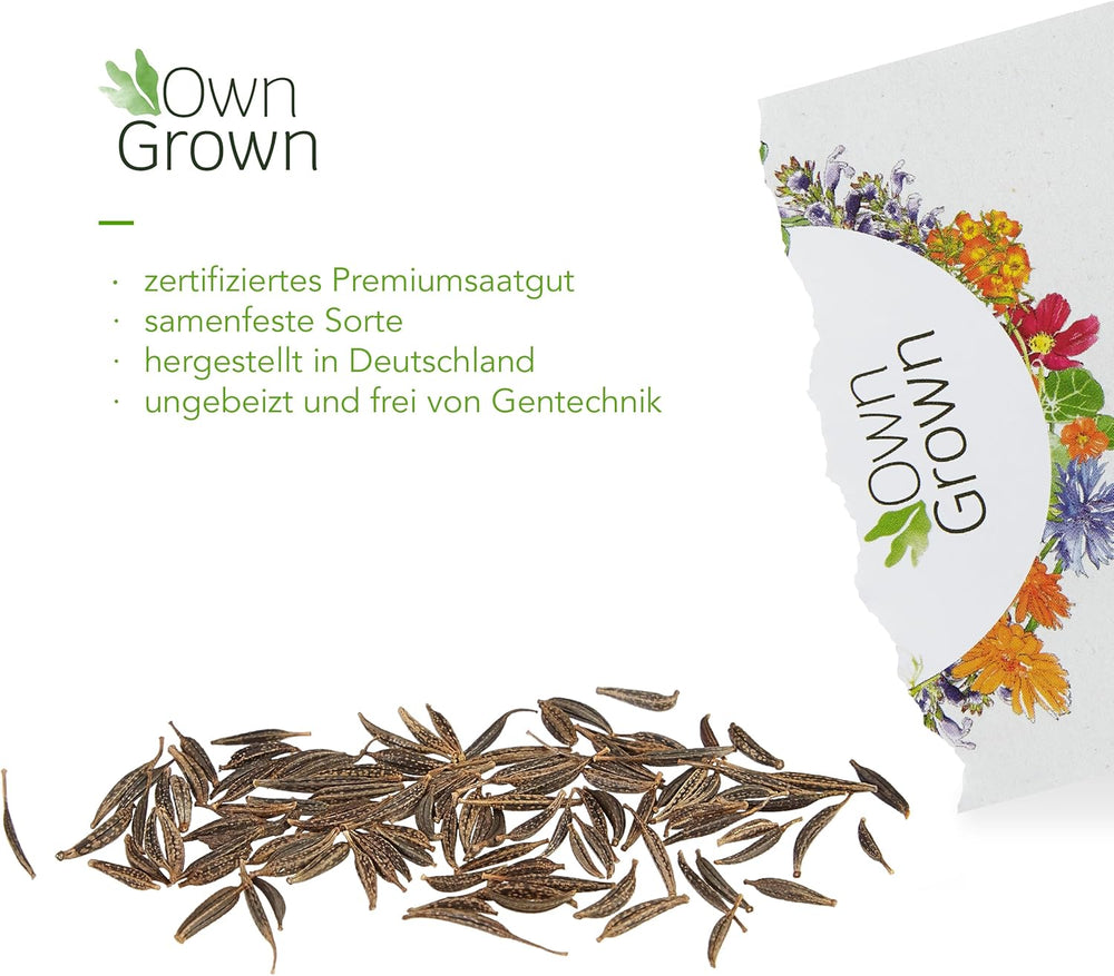 Graines de cosmos (marbrées) : graines de cosmos de qualité supérieure pour 100 plantes cosmos à fleurs – graines de fleurs comestibles – graines de fleurs colorées – graines de fleurs sauvages de OwnGrown