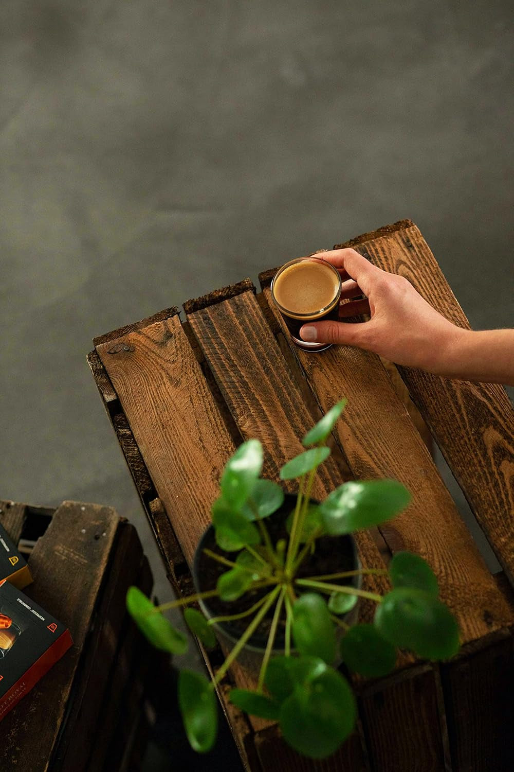 Espresso Forte 36 capsules pour machine à café Nespresso - intensité 8/10 - capsules de café certifiées UTZ en aluminium (emballage avec 3)