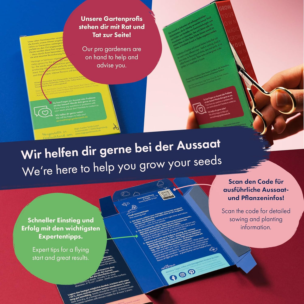 Blooming Rainbow - 6 mélanges de fleurs pollinisées gratuits - Spectaculaires et colorés - Ensemble de graines pour débutants, comme petit cadeau ou pour un usage personnel