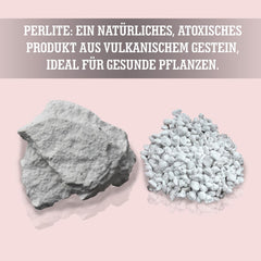 LERAVA® Perlite pour Plantes (5L) – Perlite à gros grains pour l'amélioration des sols – Assure un drainage et une aération optimaux – Additif naturel pour sols et culture hydroponique – Granulés pour plantes