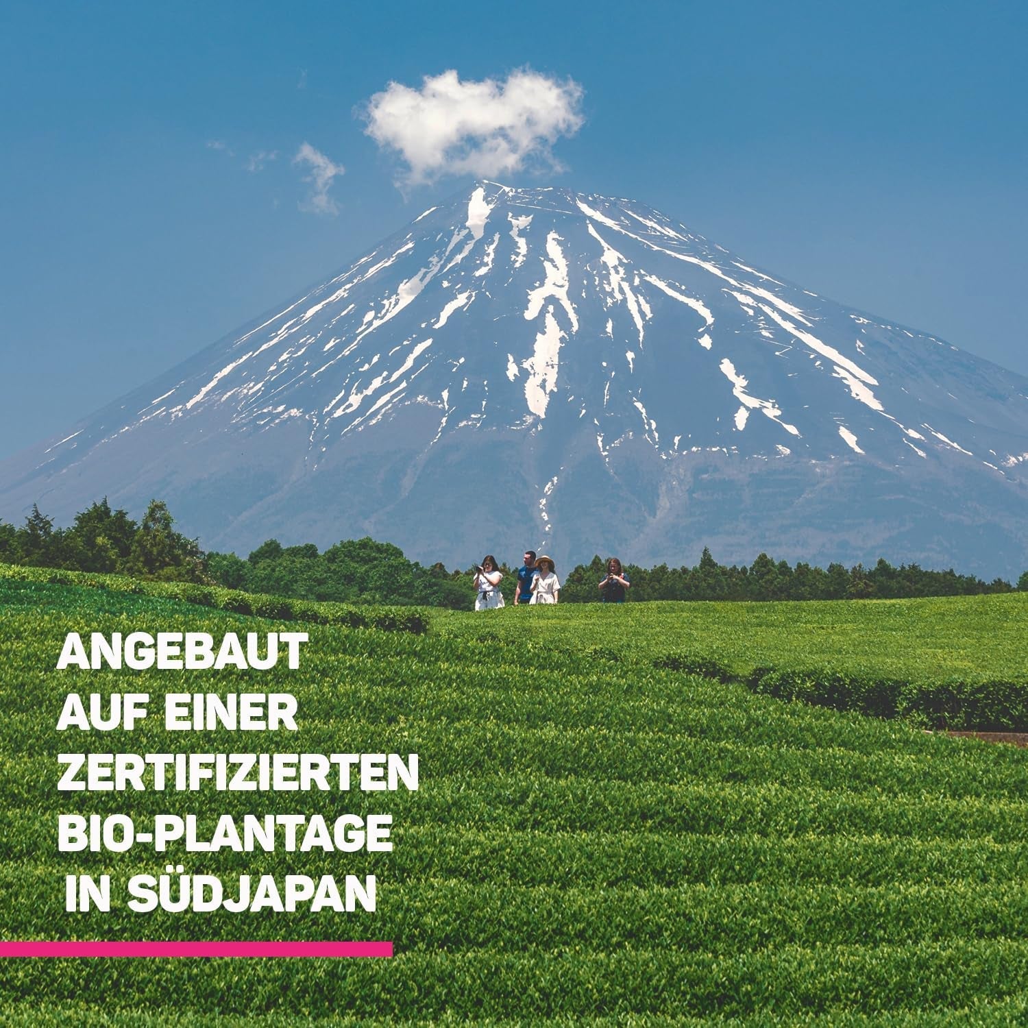 Lebepur BIO Matcha Pulbere 100G - Calitate premium din Japonia Fără aditivi - 100% pulbere de ceai verde pură pentru Matcha Latte, ceai Matcha, ceai verde, smoothie - Ceai verde japonez