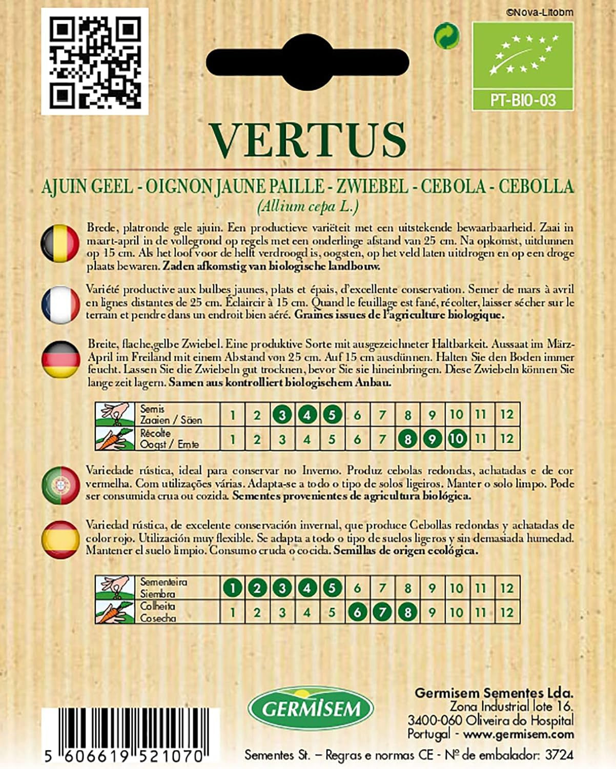 Zwiebel VERTUS, ECBIO1002