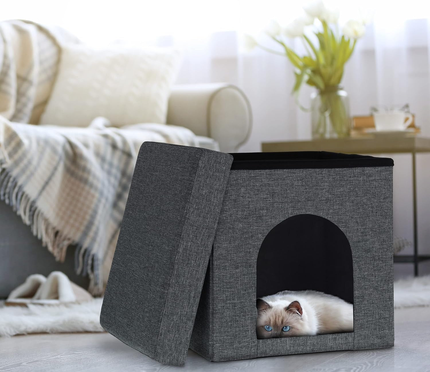Couvertures et meubles, Animaux, Grottes et maisons, Chats, Lits pour chats, Chats - lits, matelas