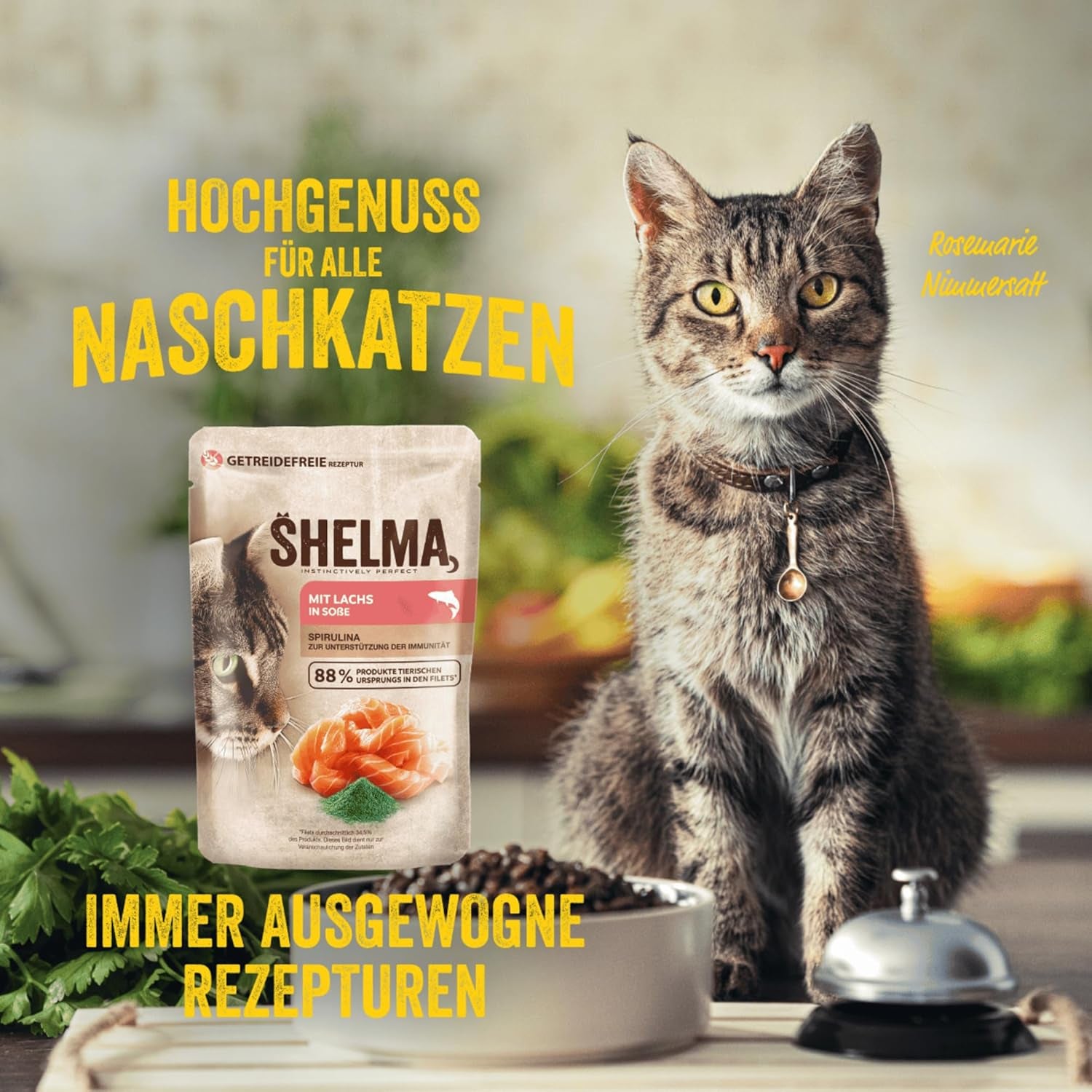 Shelma Katzen-Nassfutter mit Lachs in Sauce and Spirulina – Getreidefreies Alleinfuttermittel mit hohem Fleischanteil – 28 x 85 g (2,4 kg)