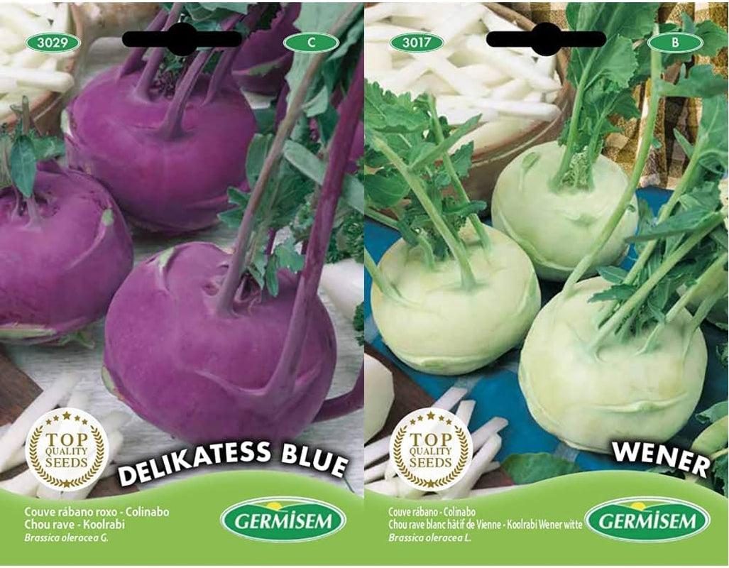 Kohlrabi DELIKATESS, Mehrfarbig, EC3029 & Kohlrabi WENER WHITE EC3017 Mehrfarbig