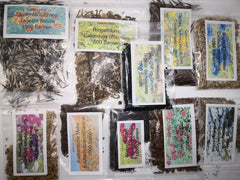 Ensemble de graines de fleurs sauvages, 10 variétés, 28 000 graines, mélange de fleurs sauvages des prés avec coquelicots, jacinthes, soucis, marguerites et plus encore, le tout emballé individuellement