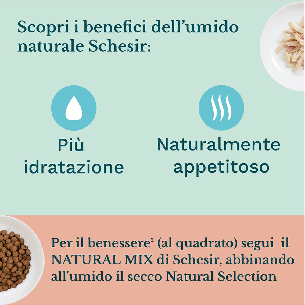 Hrană umedă pentru pisici Cat Jelly Kitten Tuna cu Aloe Vera, jeleu, 24 cutii x 85 g