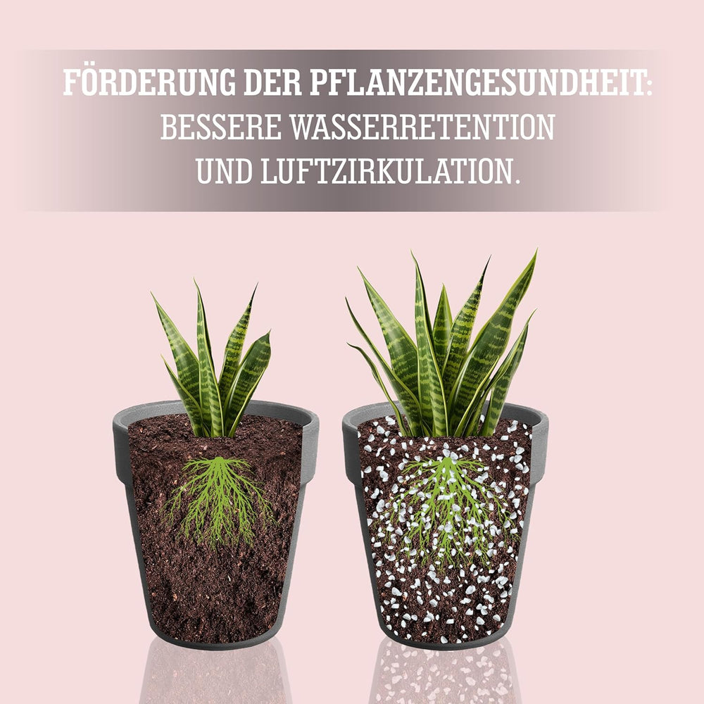 LERAVA® Perlite pour Plantes (5L) – Perlite à gros grains pour l'amélioration des sols – Assure un drainage et une aération optimaux – Additif naturel pour sols et culture hydroponique – Granulés pour plantes