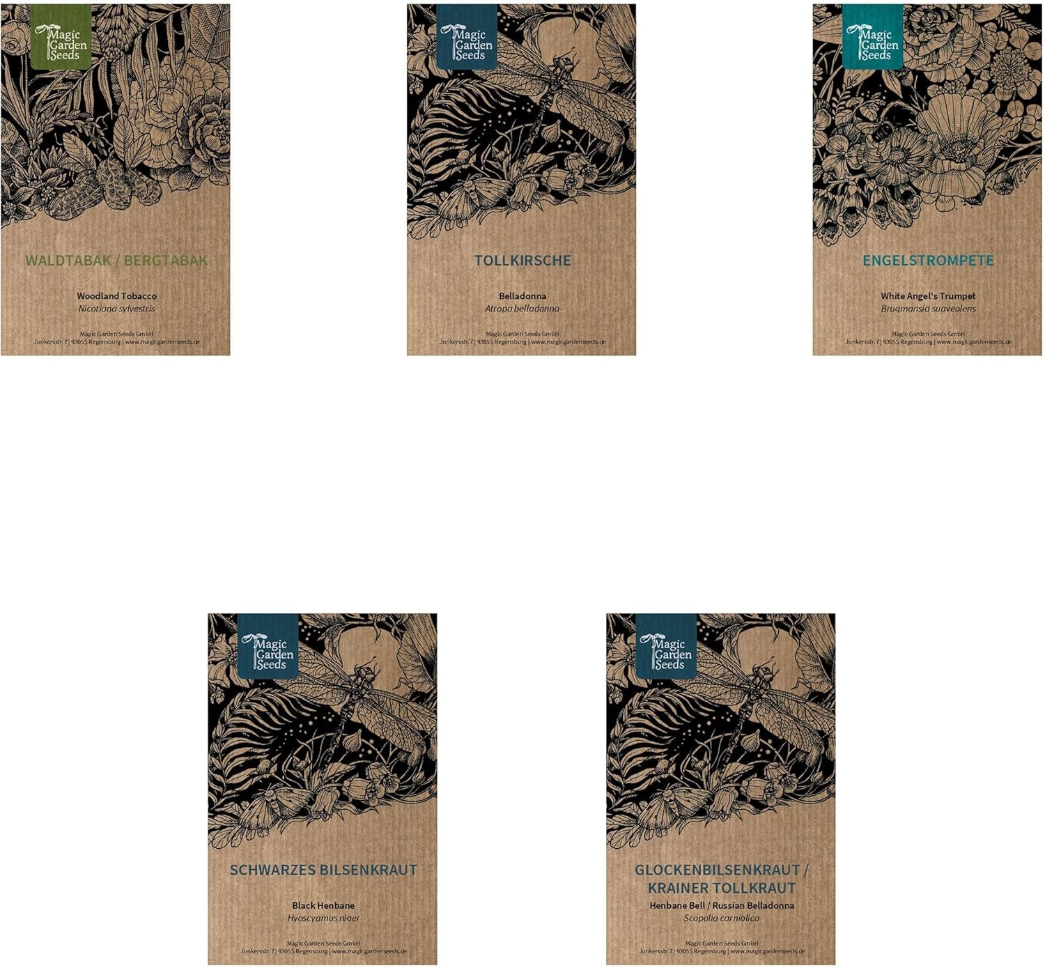 Plantes de prêle légendaires - Ensemble de graines avec 5 plantes magiques