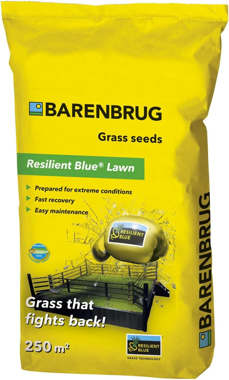 Rasensamen Barenbrug Resilient Blue Lawn 5 Kg - Great in Grass - Toleranzgrassamen