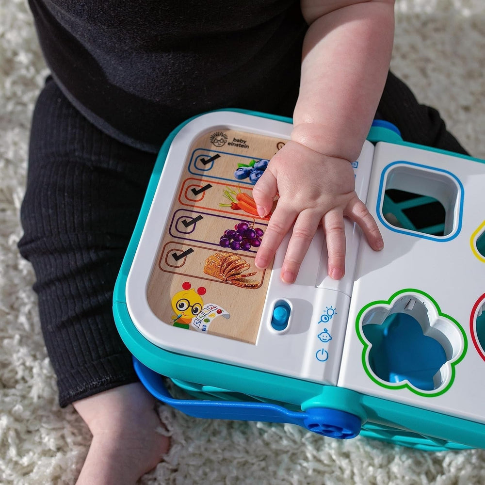 Jucărie Baby Einstein + Hape Magic Touch Register Pretend to Check Out, cu sunete reale și muzică, de la 9 luni în sus Jucarii Bebe Naty Shop