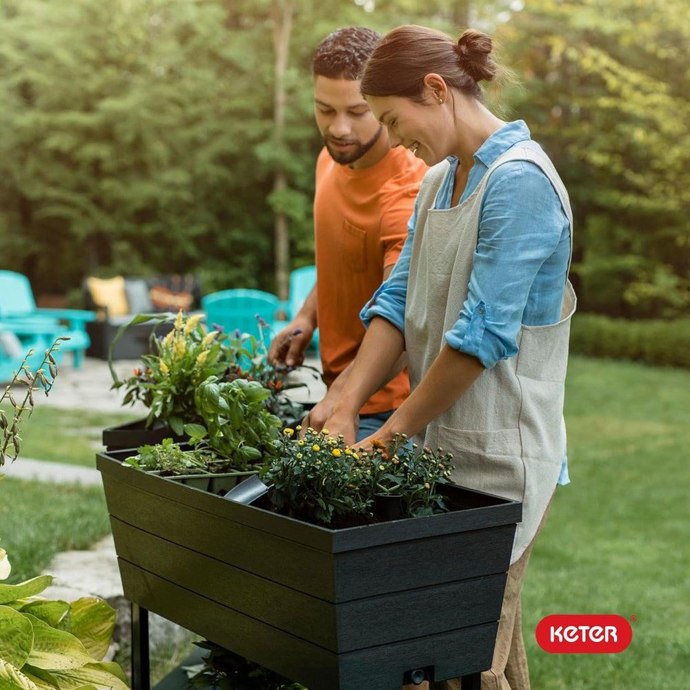 Keter Urban Bloomer Pot de jardin surélevé et herbes aromatiques avec jauge d'arrosage automatique et bouchon de vidange Gris foncé