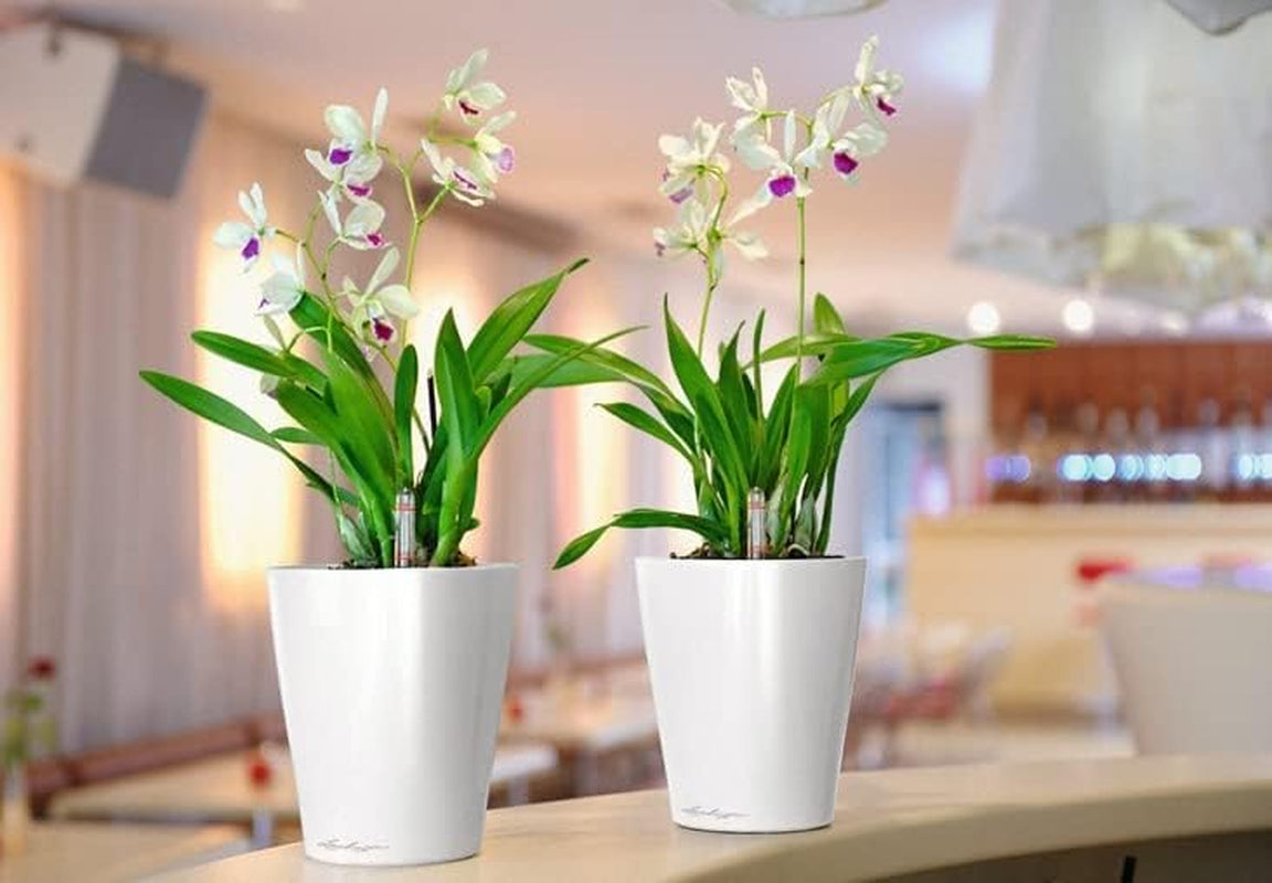 LECHUZA DELTINI alb lucios 14900