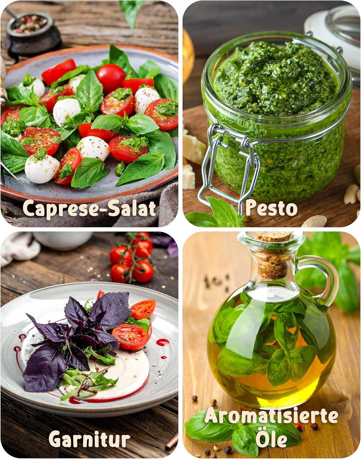 Graines de basilic biologiques dans un ensemble de 6 - 6 graines de basilic pour une culture facile dans le jardin, le balcon ou le parterre surélevé - Graines de plantes - Semis