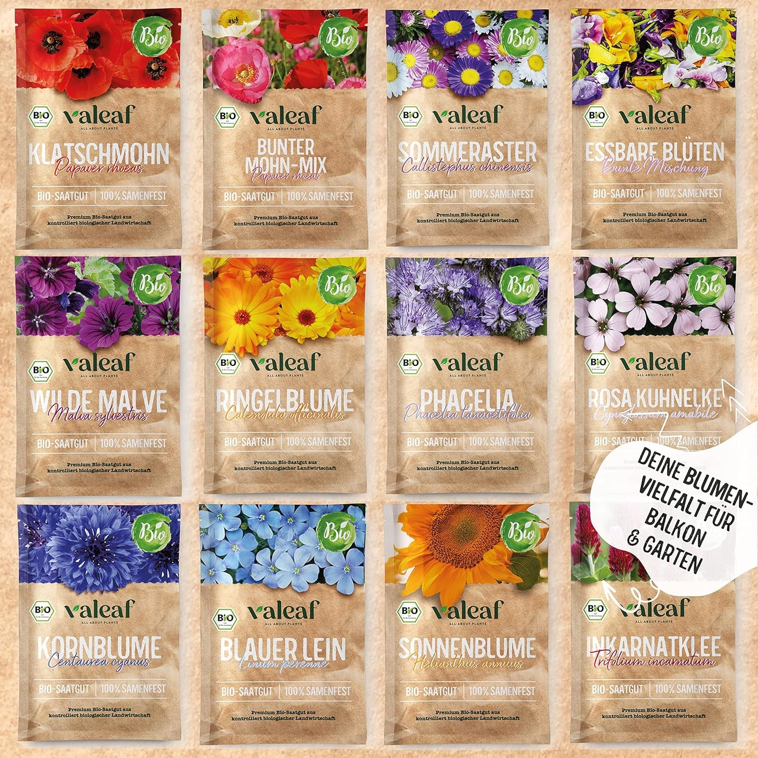 Ensemble de graines de fleurs biologiques | 12 variétés de graines de fleurs | Graines de fleurs haut de gamme | Ensemble de graines de plantes de graines de fleurs sauvages | Graines de fleurs | Graines de fleurs pour le balcon | Cadeau idéal avec des graines de fleurs