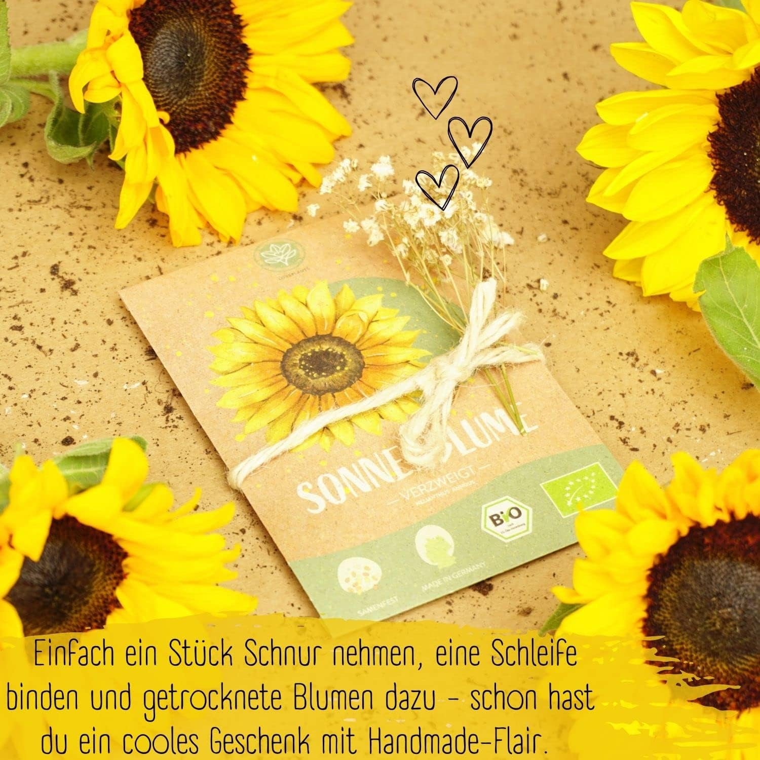 Graines de tournesol biologiques, ramifiées, 20 graines de tournesol à taux de germination élevé, graines de tournesol pour le jardin, le balcon, le parterre de fleurs ou comme cadeau d'invités. Graines de fleurs pollinisées gratuites.