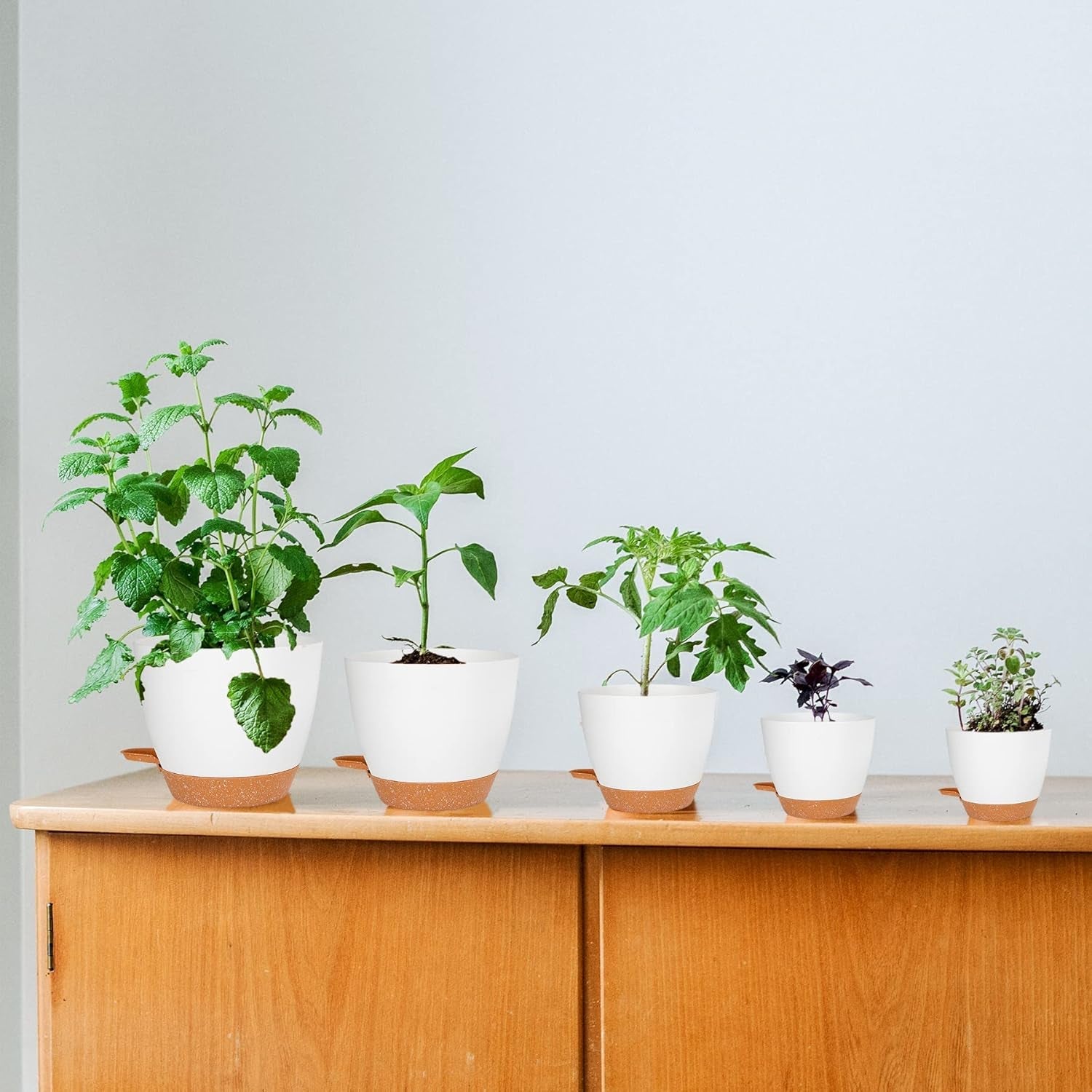 CSYY Pots de Fleurs Ensemble de 7 Pots de Fleurs en Plastique avec système d'arrosage 20,3/19/17,7/16,5/15,2/14/12,7 cm Pots à arrosage Automatique et Soucoupe intérieur extérieur