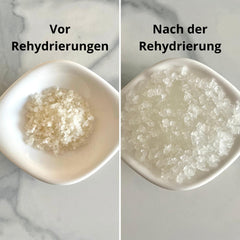Natural Probio® Wasserkefir, Kefirpilz, Japankristalle, Kefirknollen, Starter Set + Anleitung, Rezept, Tipps, E-Book & Rezeptbibliothek + Kundenservice auf Lebenszeit (10g déshydraté/60g réhydraté)