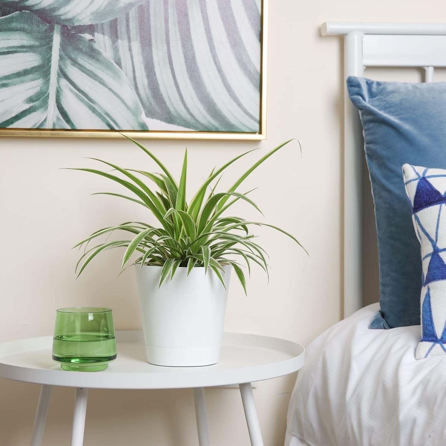 T4U Pots de fleurs en plastique de 14 cm avec système d'arrosage, lot de 6 pots de fleurs et soucoupes à arrosage automatique, pots ronds pour plantes de jardin de balcon intérieur, plantes grasses, cactus, blanc