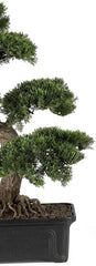 4103 61 Cm Zedern-Bonsai-Seidenpflanze, Grün