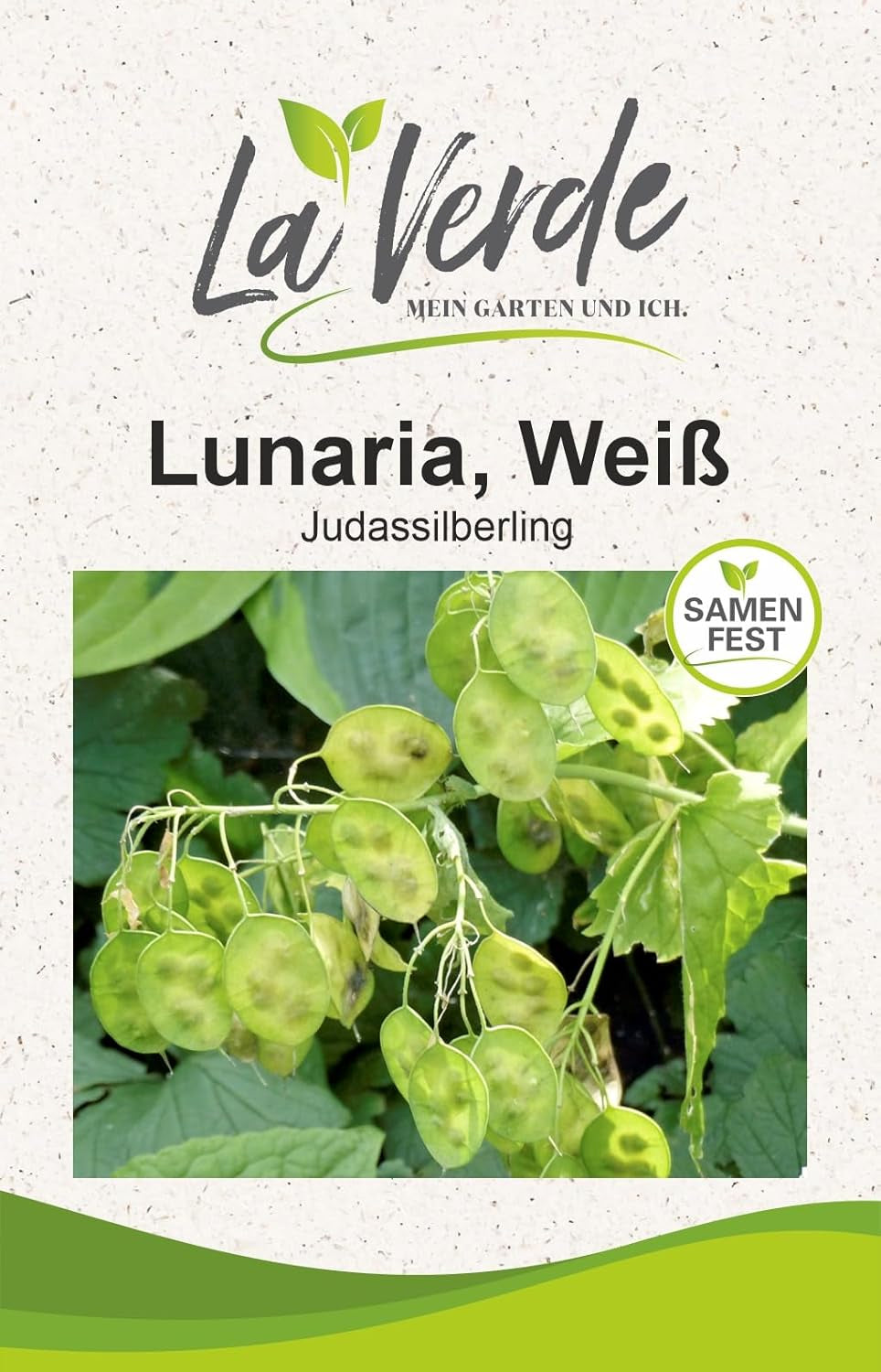 La Verde MON JARDIN ET MOI. Graines de pavot de Californie 'Poppy Orange' pour env. 250 plantes, pavot de Californie, graines à longue floraison, sans OGM