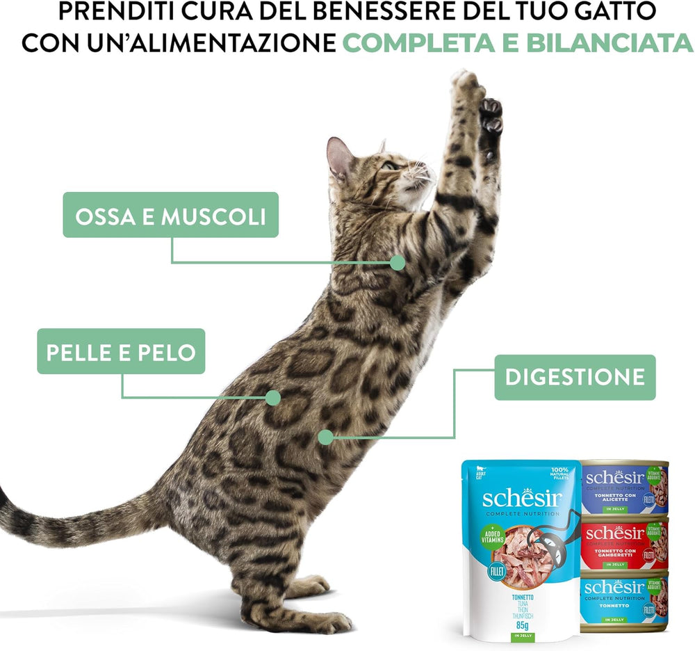 Ton spinos în jeleu, hrană umedă completă pentru pisici, la conservă, cu vitamine adăugate, 100% natural, 6 x 85 g
