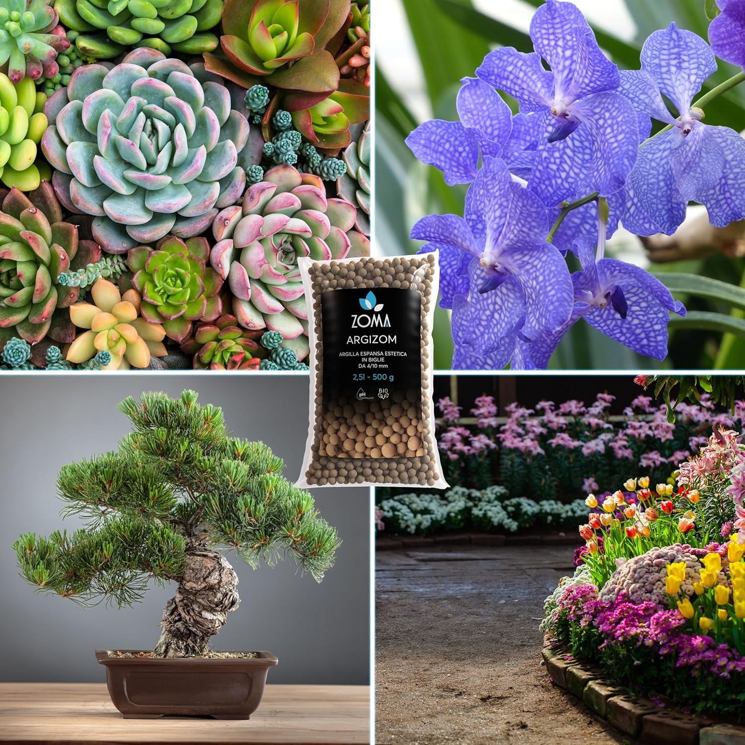 Argile expansée pour plantes en pot, petites billes d'argile pour le drainage et l'aération, argile expansée pour culture hydroponique et décorations esthétiques sans colorants chimiques - 650 g