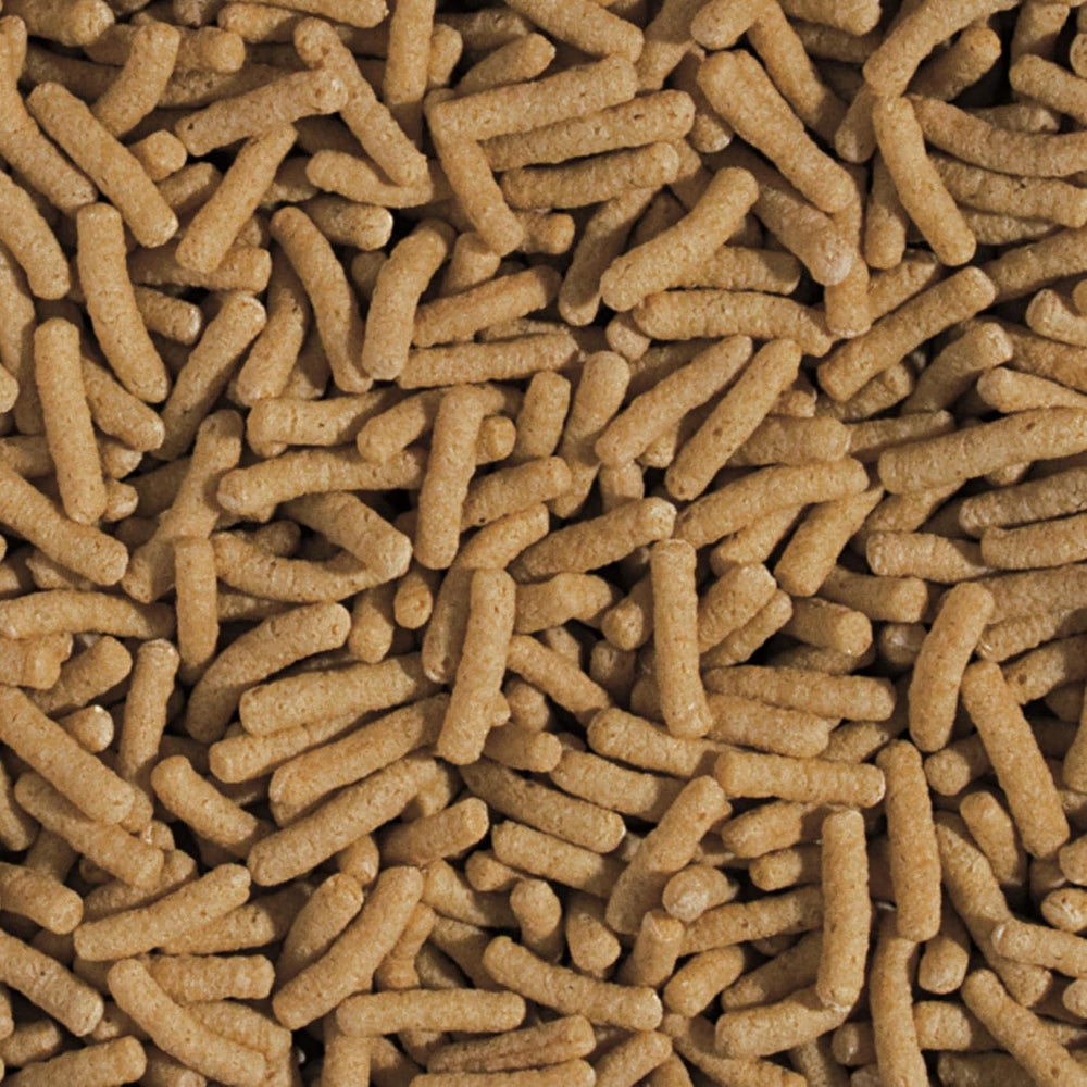 Bâtonnets de germe de blé et d'ail KOI&Goldfish 5L / 430g - Aliment pour poissons de bassin pour l'alimentation quotidienne des poissons koï dans une large plage de température de 8 à 30°C