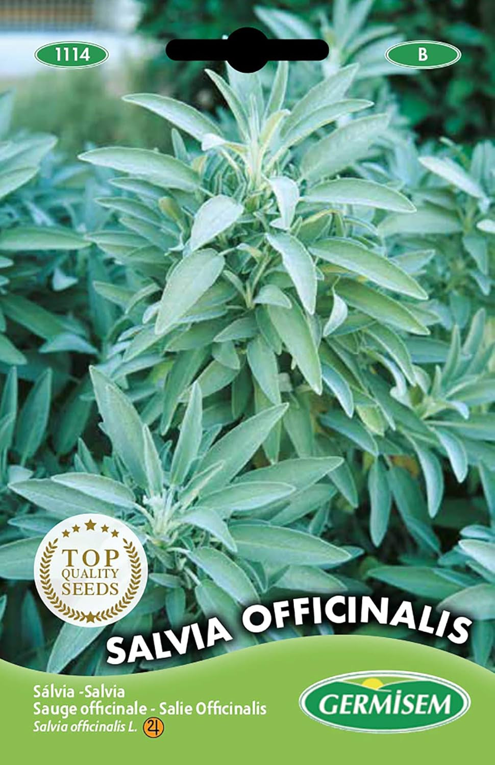Salbei SALVIA OFFICINALIS, Mehrfarbig, EC1114