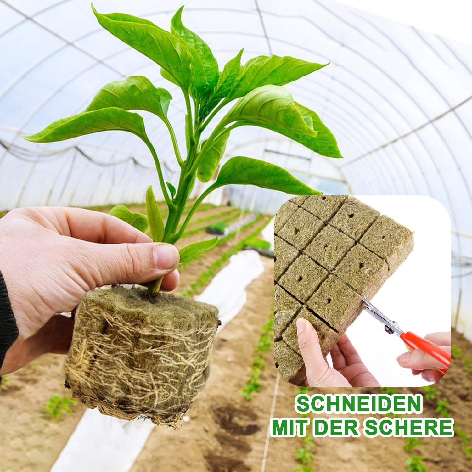 Cubes de semis de laine de roche, 56 pièces, 4x4x4cm. Respectueux de l'environnement et bien aéré pour la culture hors sol de semis, boutures et clones.