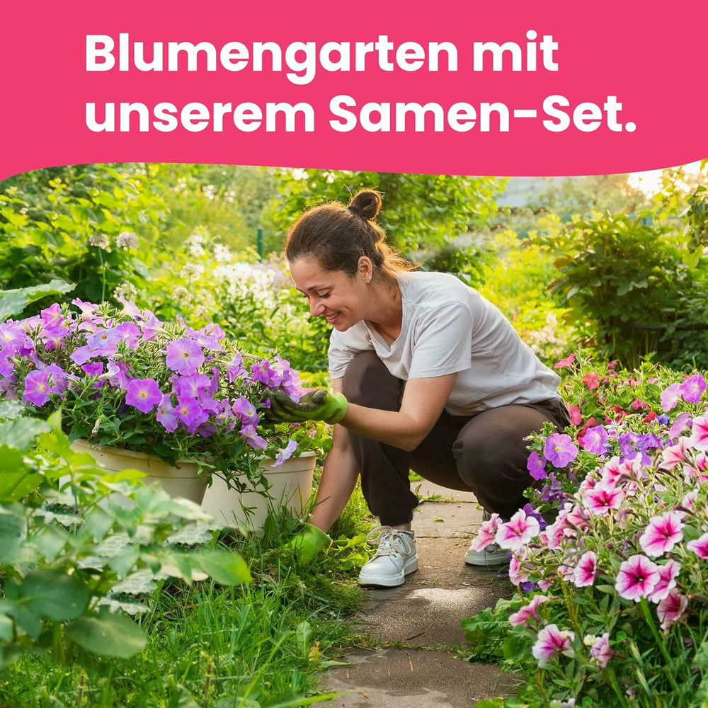 Graines de fleurs LERAVA (12 variétés) - plantes vivaces résistantes à l'hiver - graines de jardin et de balcon - germination rapide pour un semis facile - mélange de fleurs nécessitant peu d'entretien pour une floraison continue