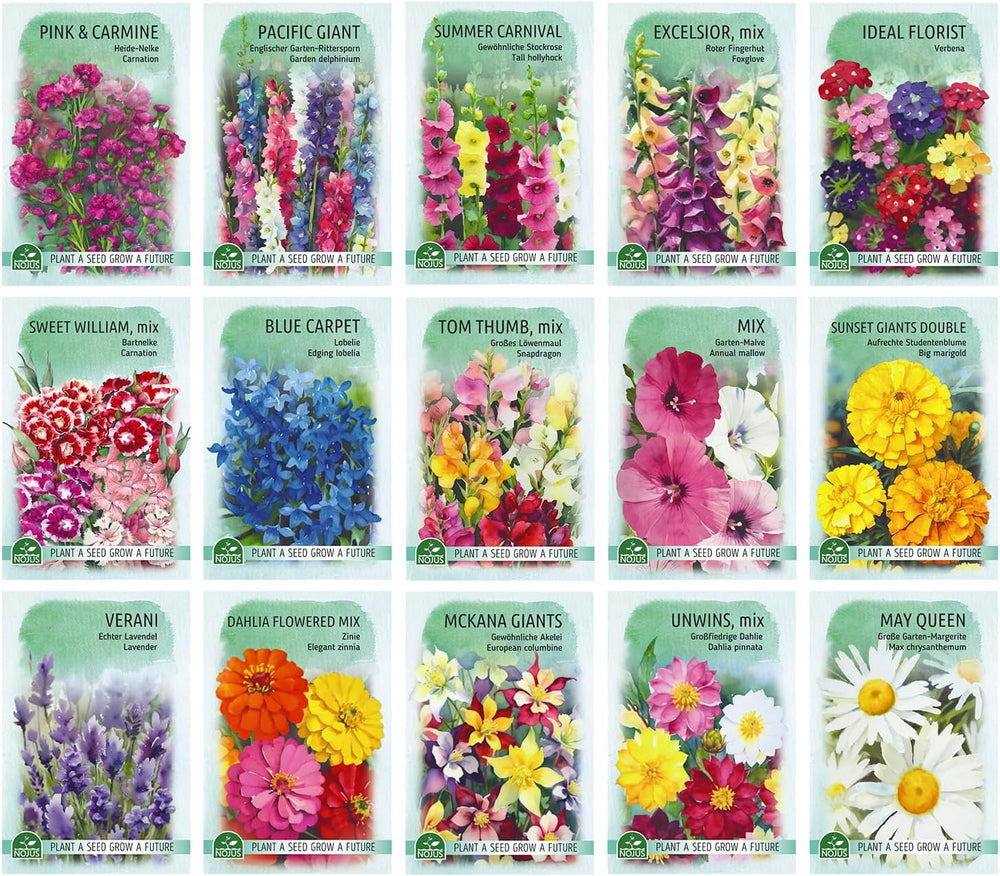 Nojus Ensemble de graines de fleurs – 15 paquets de graines de fleurs – Graines de fleurs de jardin – Graines de plantes colorées – Graines de fleurs sauvages – 15 variétés de graines de fleurs – Cadeau idéal pour graines de fleurs