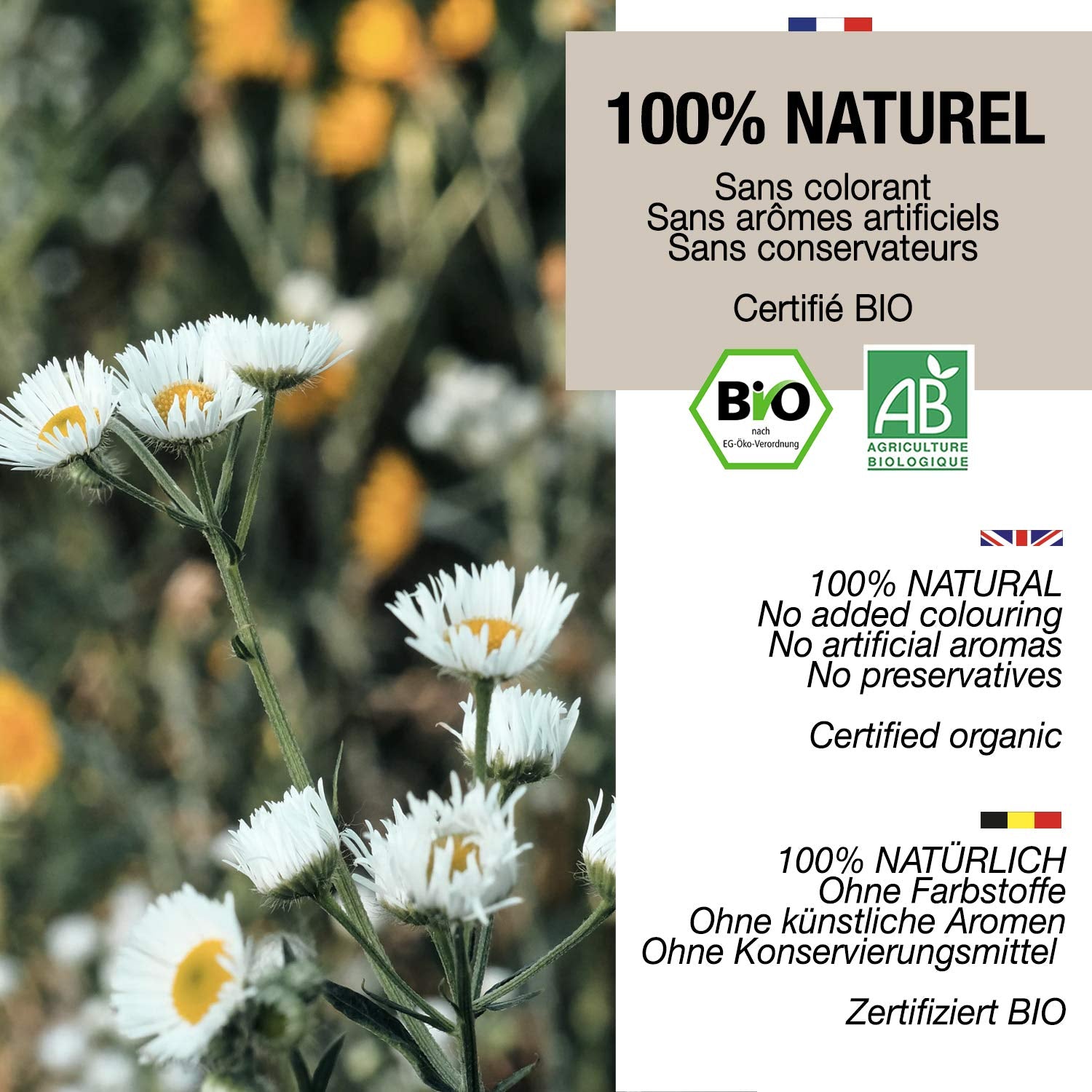 ORIGEENS Thé aux Fleurs de Camomille Bio d'Europe, 100 g | Thé en feuilles, thé biologique pour le sommeil et la digestion | Camomille allemande | Certifié et emballé en Allemagne