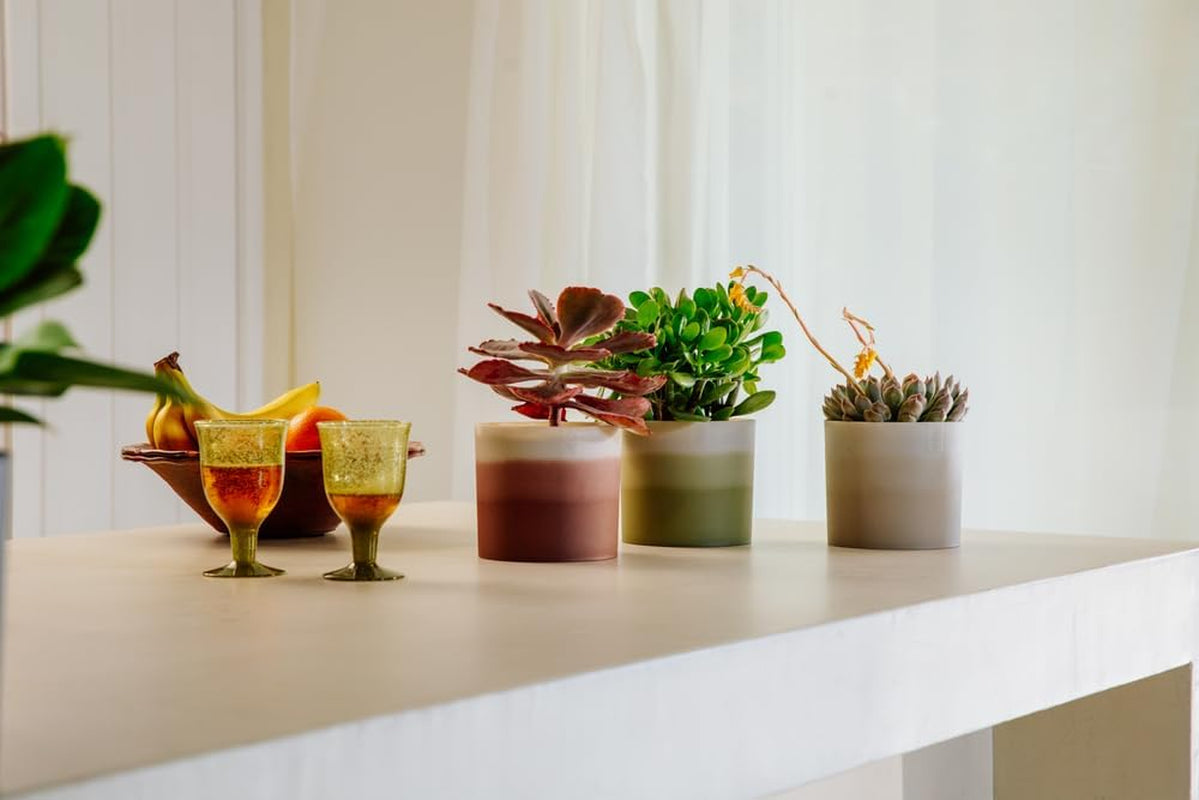 elho Pot rond avec dégradé de couleurs 16 cm - Pots de fleurs d'intérieur - 100% plastique recyclé - Ø 15,9 x H 14,7 - Marron/Marron Cèdre