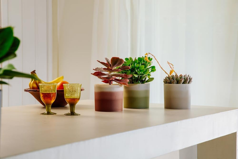 elho Pot rond avec dégradé de couleurs 16 cm - Pots de fleurs d'intérieur - 100% plastique recyclé - Ø 15,9 x H 14,7 - Marron/Marron Cèdre