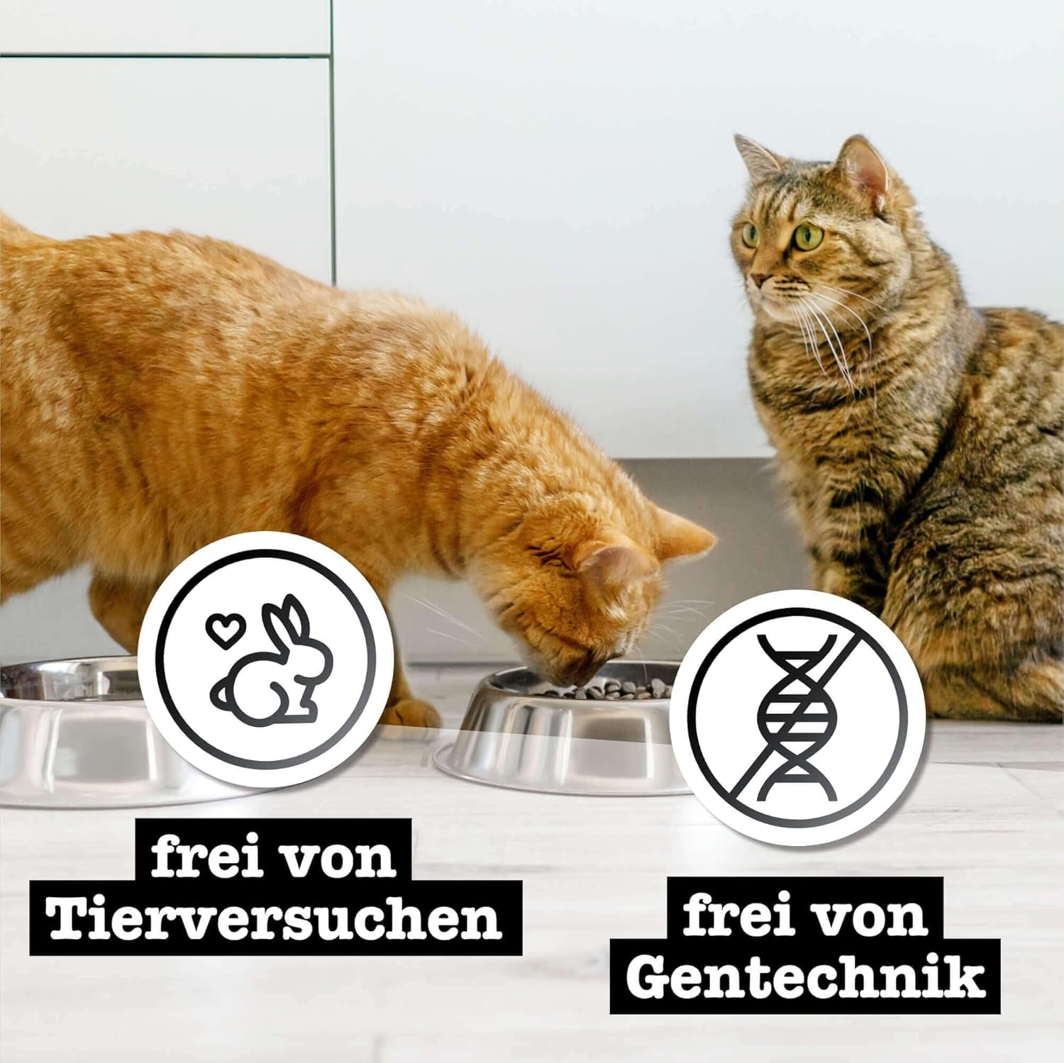 Hrană umedă pentru pisici Catz Finefood Purrrr Horse Monoprotein nr. 123, pentru pisici cu digestie sensibilă, conținut de carne de 70%, 6 cutii x 400 g