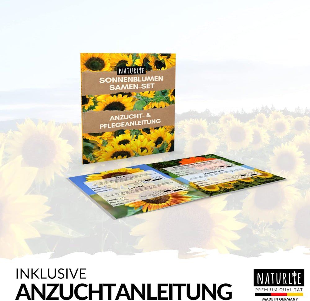 12Er Sonnenblumen Samen Set - 12 Schöne Sorten Premium Sonnenblumensamen - Blumen Saatgut Für Bienen - Super Garten Geschenk - Blumensamen Sommerblumen Anzuchtset Von