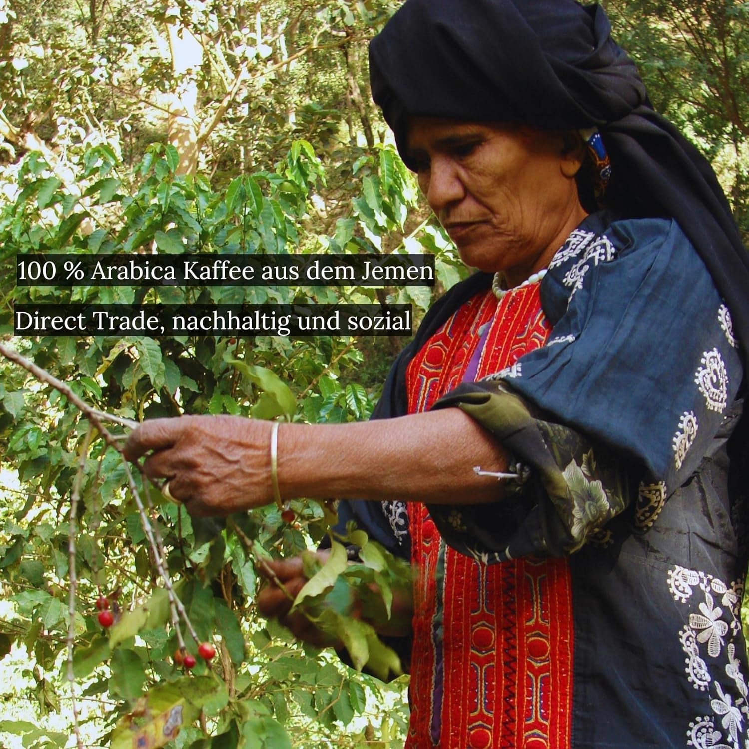 Haricot moka Khulani du Yémen | Café de spécialité du Yémen par CoffeePearls® | 100% Arabica, grains entiers