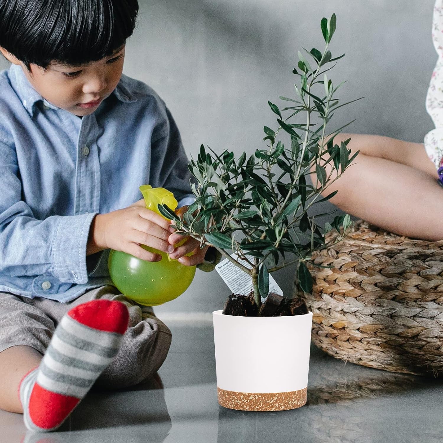 Lot de 2 pots de fleurs de 12,7 cm, pots de fleurs d'intérieur avec trous de drainage et base amovible, soucoupes décoratives modernes pour jardinières d'extérieur (blanc 12,7 cm)