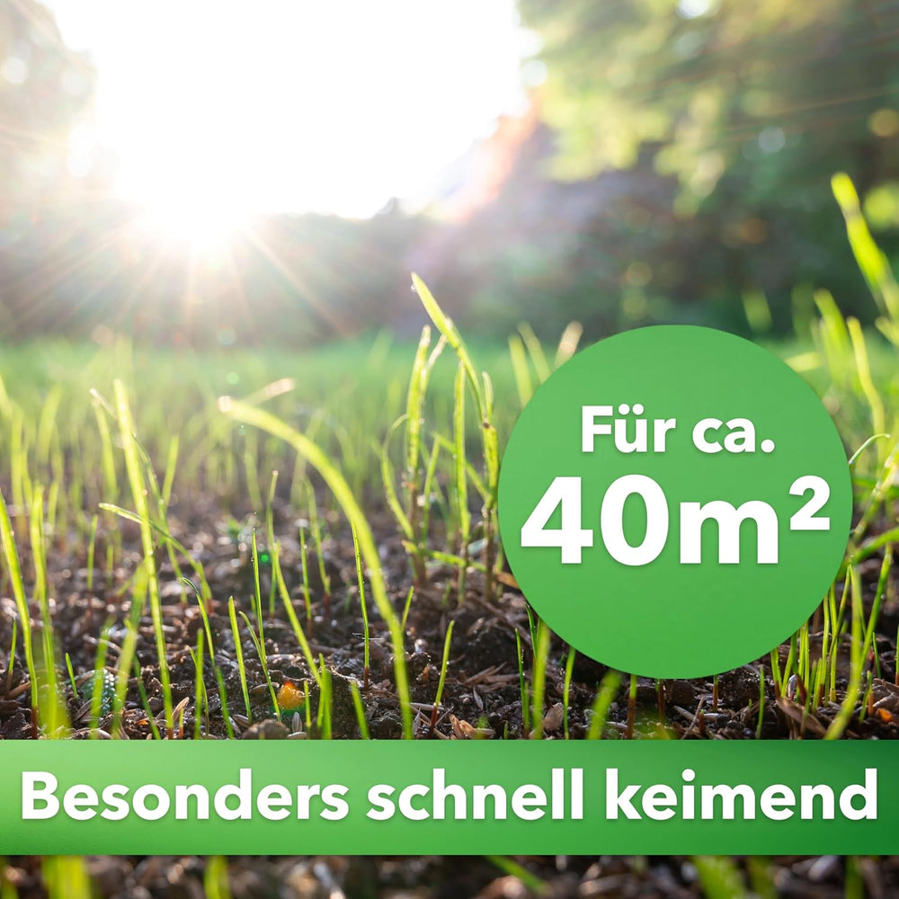 Hesa Sportrasen, 1 Kg Strapazierrasen Für Ca 40 M², Schnellkeimende Premium Rasensamen Für Starke Beanspruchung, Fussballrasen, Sportplatzrasen in Profiqualität, Auch Für Nachsaat