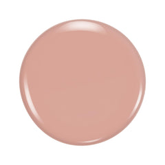 Chef-d'œuvre Xpress 203 Nu