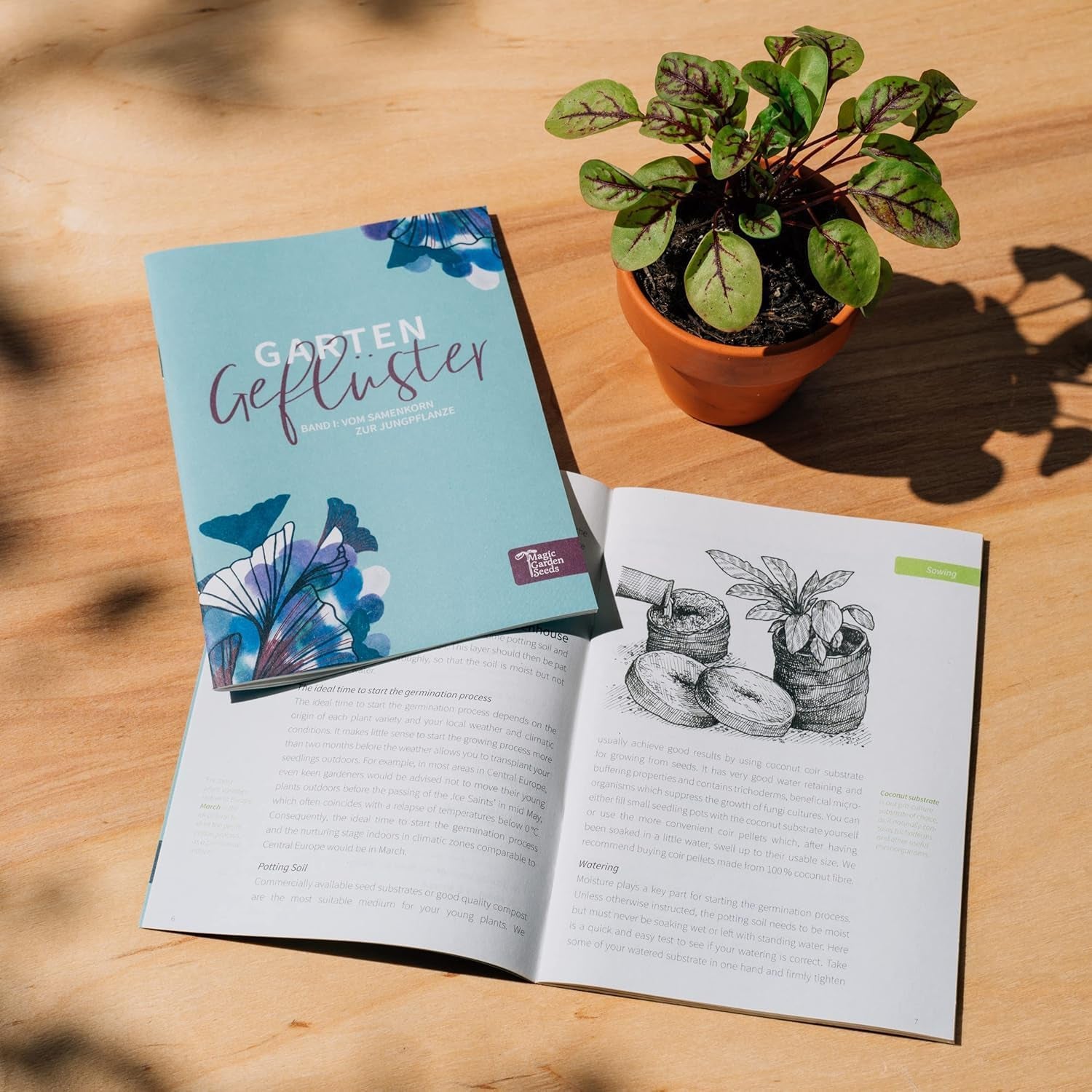 Magic Garden Seeds - Zauber- & Schamanenpflanzen - Samen Geschenk Set Mit 5 Magischen Kräutern Für Magie Im Garten - Kräuter Anzuchtset Mit Alraune, Bauerntabak, Salbei, Bilsenkraut Und Habichtskraut