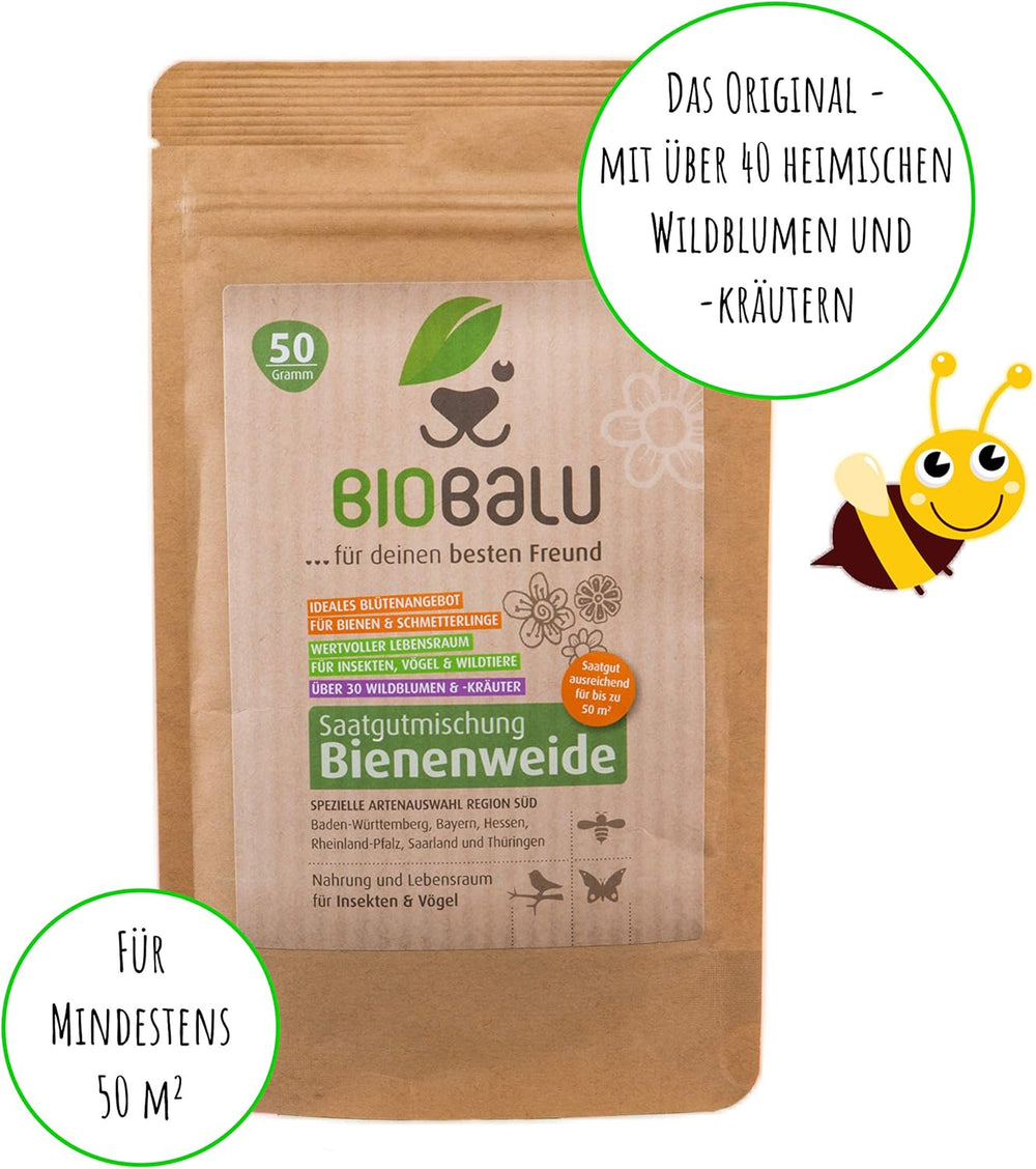 Graines d'abeilles - fleurs sauvages des prés, vivaces et résistantes à l'hiver, graines - plus de 40 fleurs indigènes et herbes sauvages, sélection spéciale d'espèces pour le sud de l'Allemagne, 50g