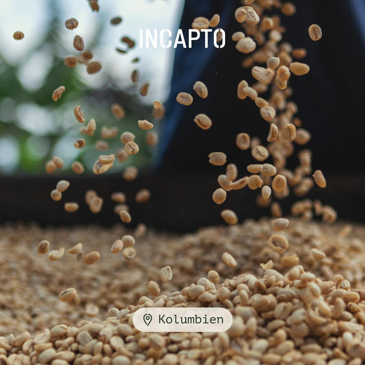 Incapto Spezialitäten-Kaffeebohnen | Colombien d’origine unique | Expresso 100% Arabica | Café de spécialité 84 Points SCA | Geröstete Bohnenkaffee traditionnelle | Plantage Huila, Cadefihuila, 1kg