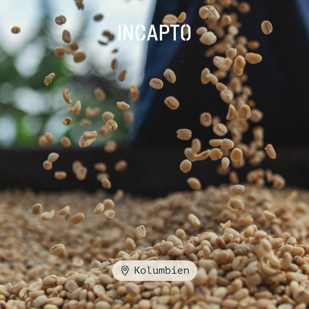 Incapto Spezialitäten-Kaffeebohnen | Colombien d’origine unique | Expresso 100% Arabica | Café de spécialité 84 Points SCA | Geröstete Bohnenkaffee traditionnelle | Plantage Huila, Cadefihuila, 1kg